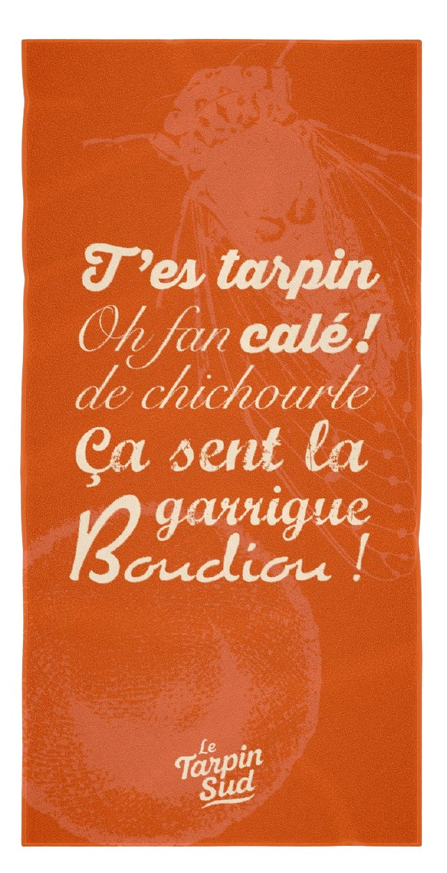 SERVIETTE "EN PLEINS CAGNARD Ô !"