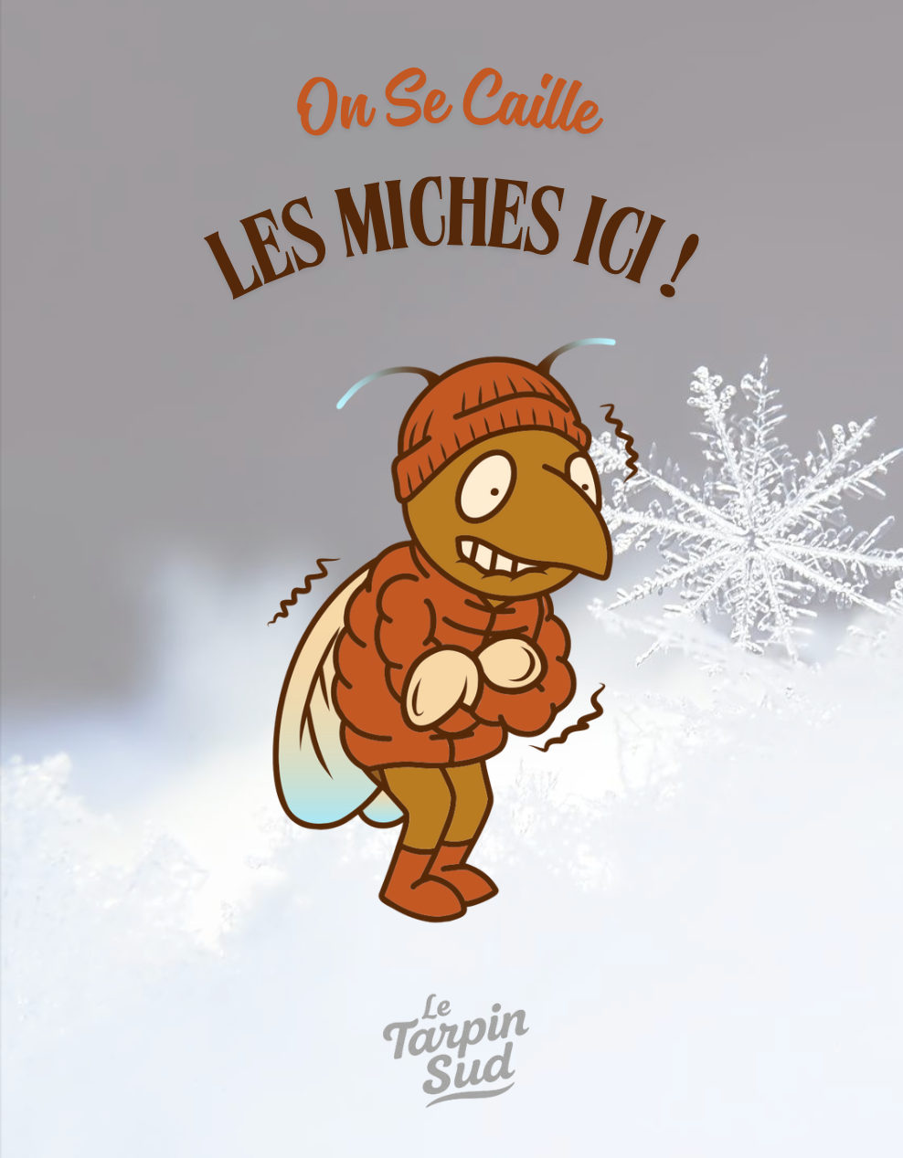 Plaid - LE TARPIN DOUILLET  " On se caille les miches ici ! " (Version neige)