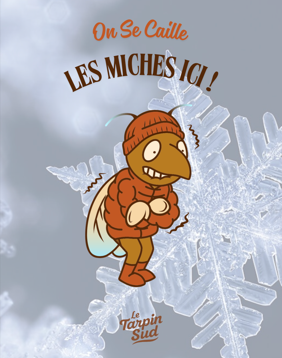 Plaid - LE TARPIN DOUILLET " On se caille les miches ici ! " (Version flocon)